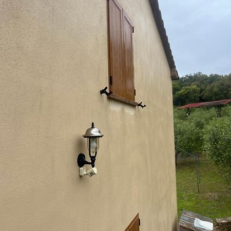 Agriturismo Il Sorbo Appartamento Menta Sticciano المظهر الخارجي الصورة